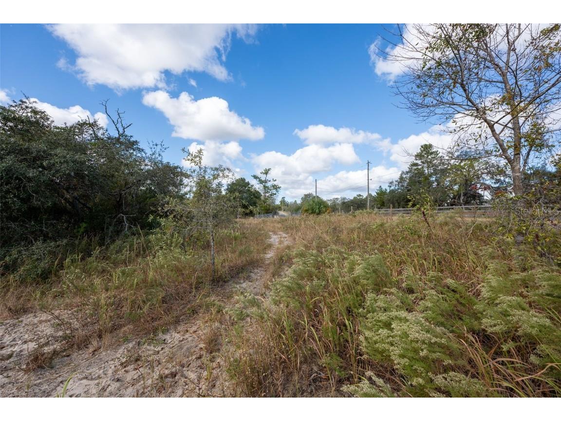 13120 Taylor Street Brooksville FL 34613 TB8458052 image27