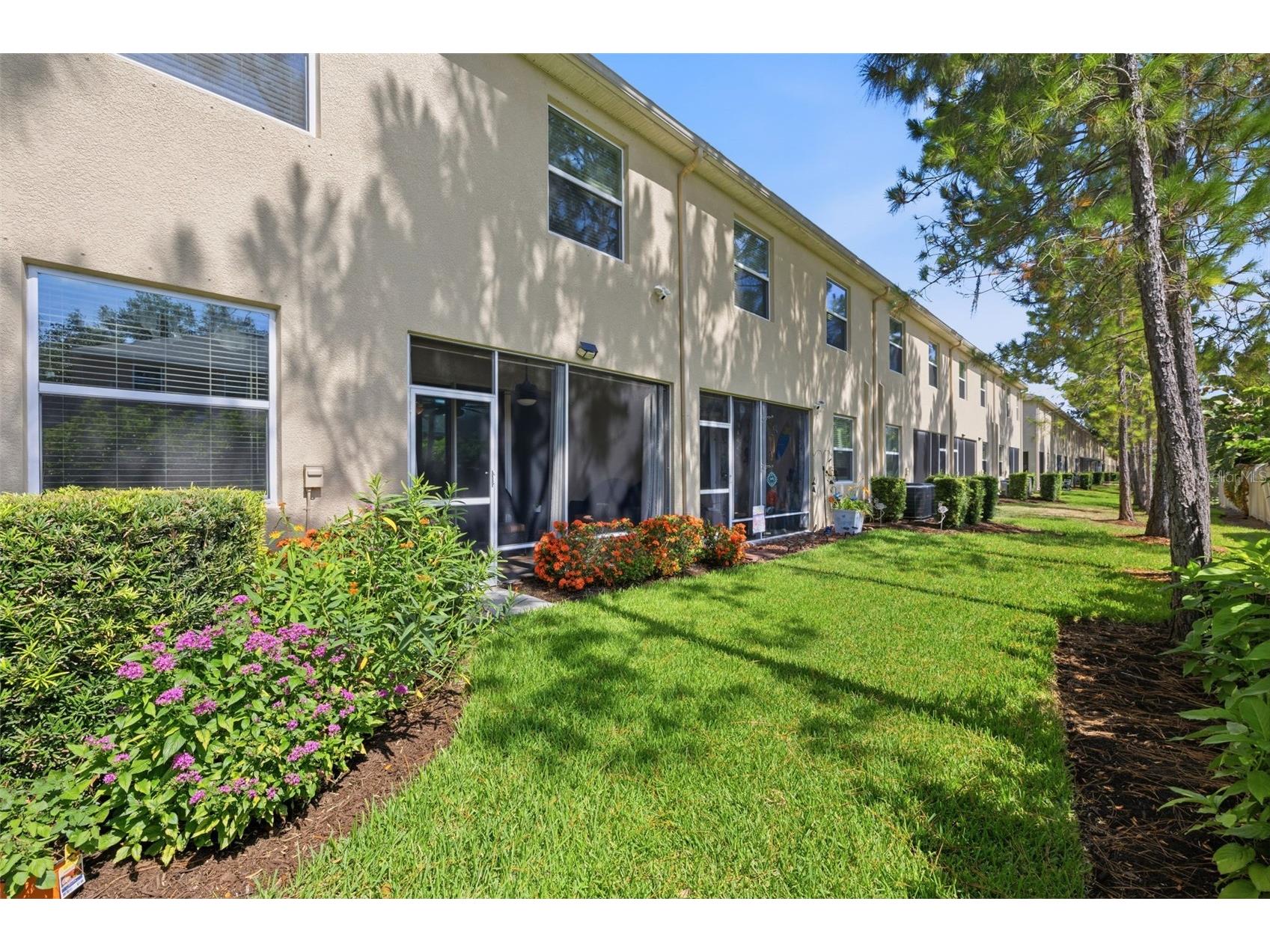 13121 Canopy Creek Drive Tampa FL 33625 TB8525246 image23