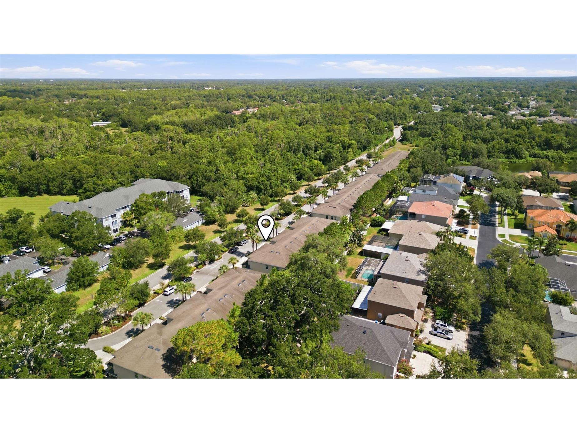 13121 Canopy Creek Drive Tampa FL 33625 TB8525246 image34