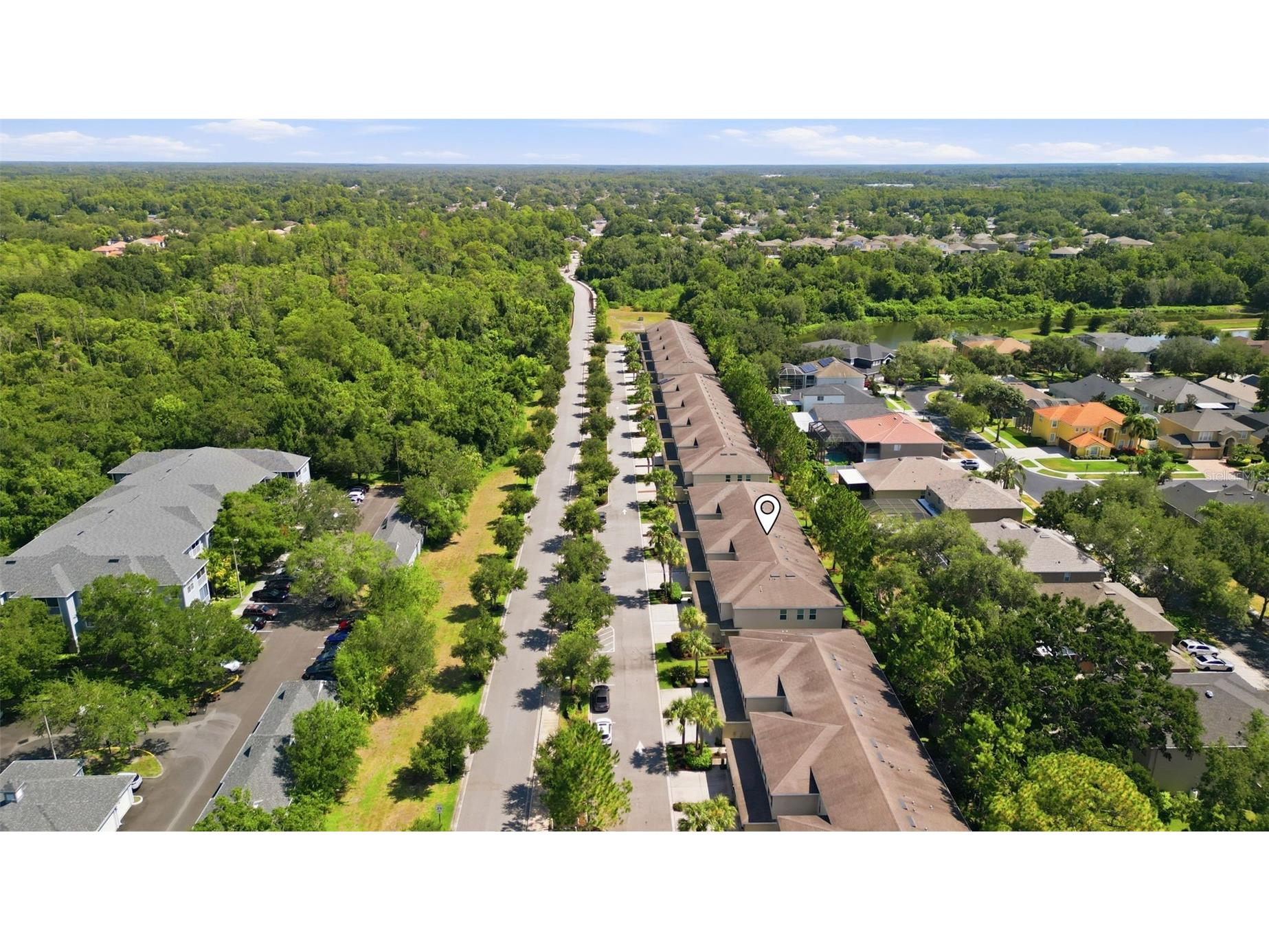 13121 Canopy Creek Drive Tampa FL 33625 TB8525246 image35