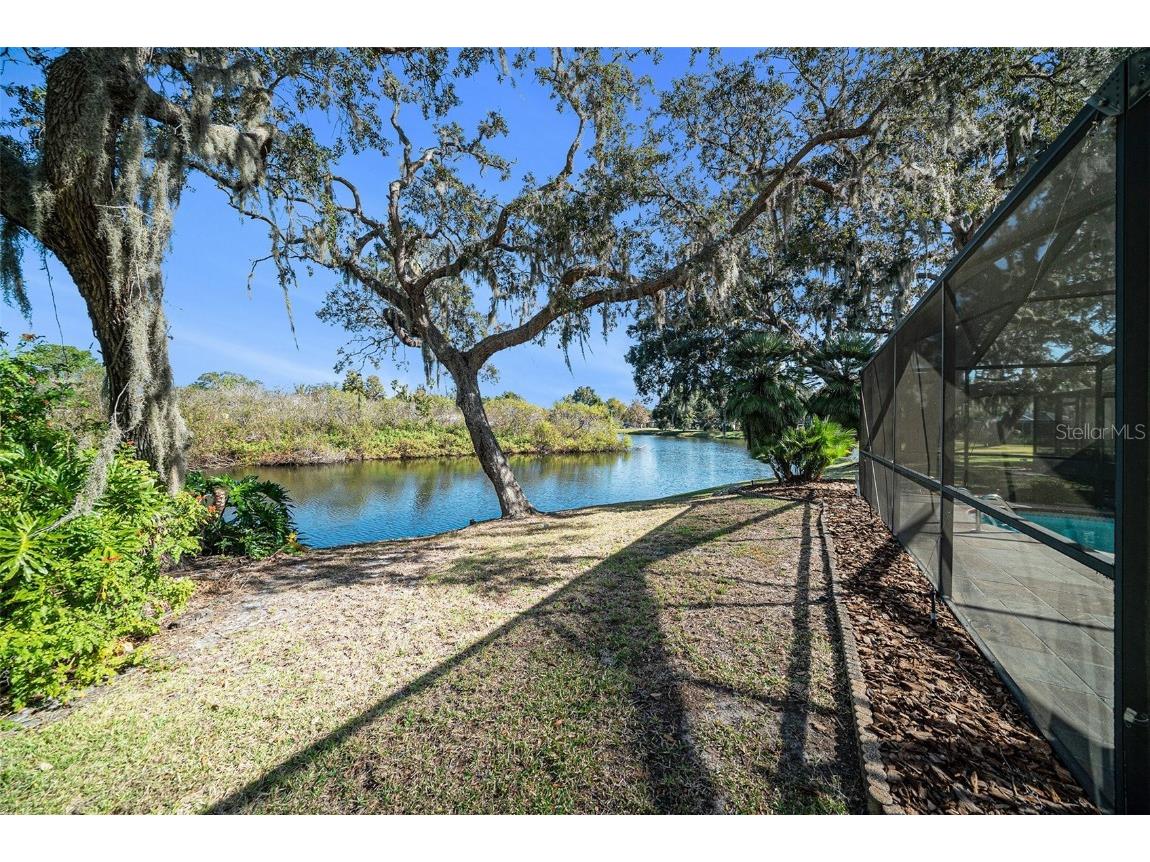 13121 Misty Lane Hudson FL 34669 TB8444549 image24