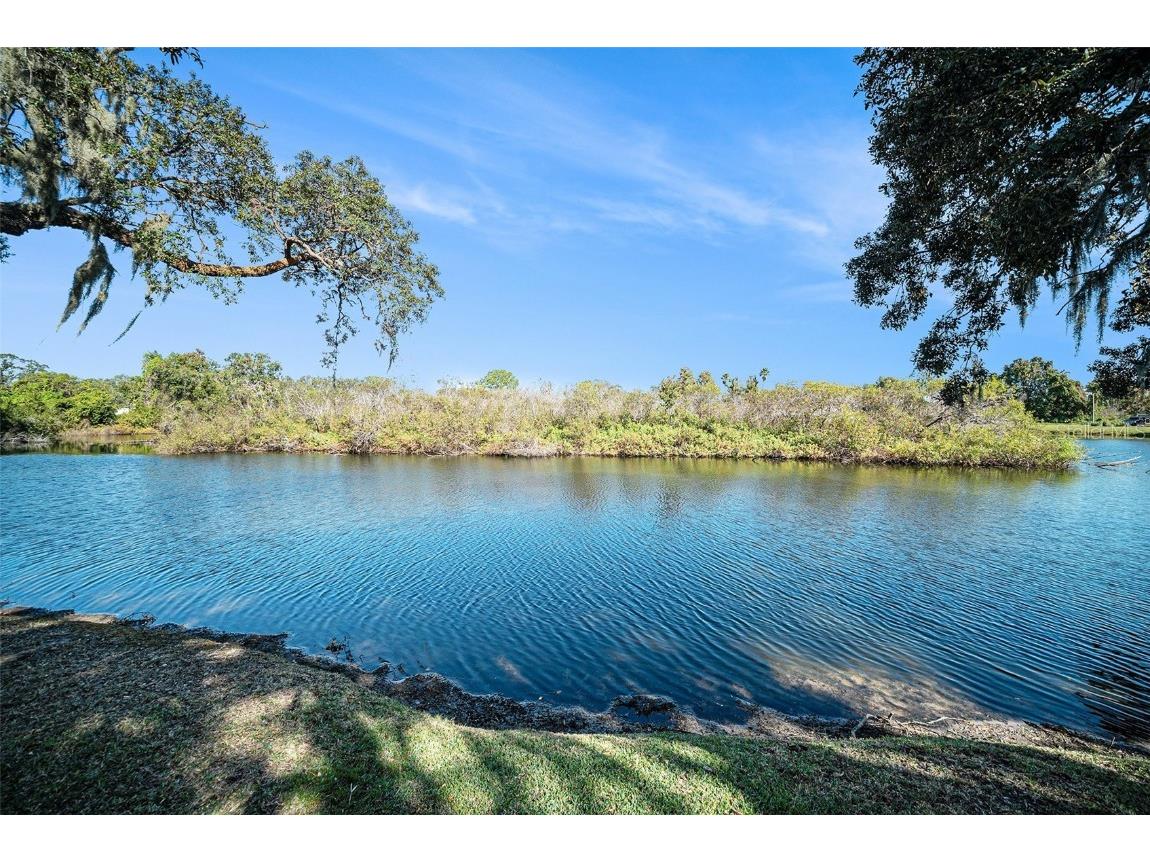 13121 Misty Lane Hudson FL 34669 TB8444549 image25