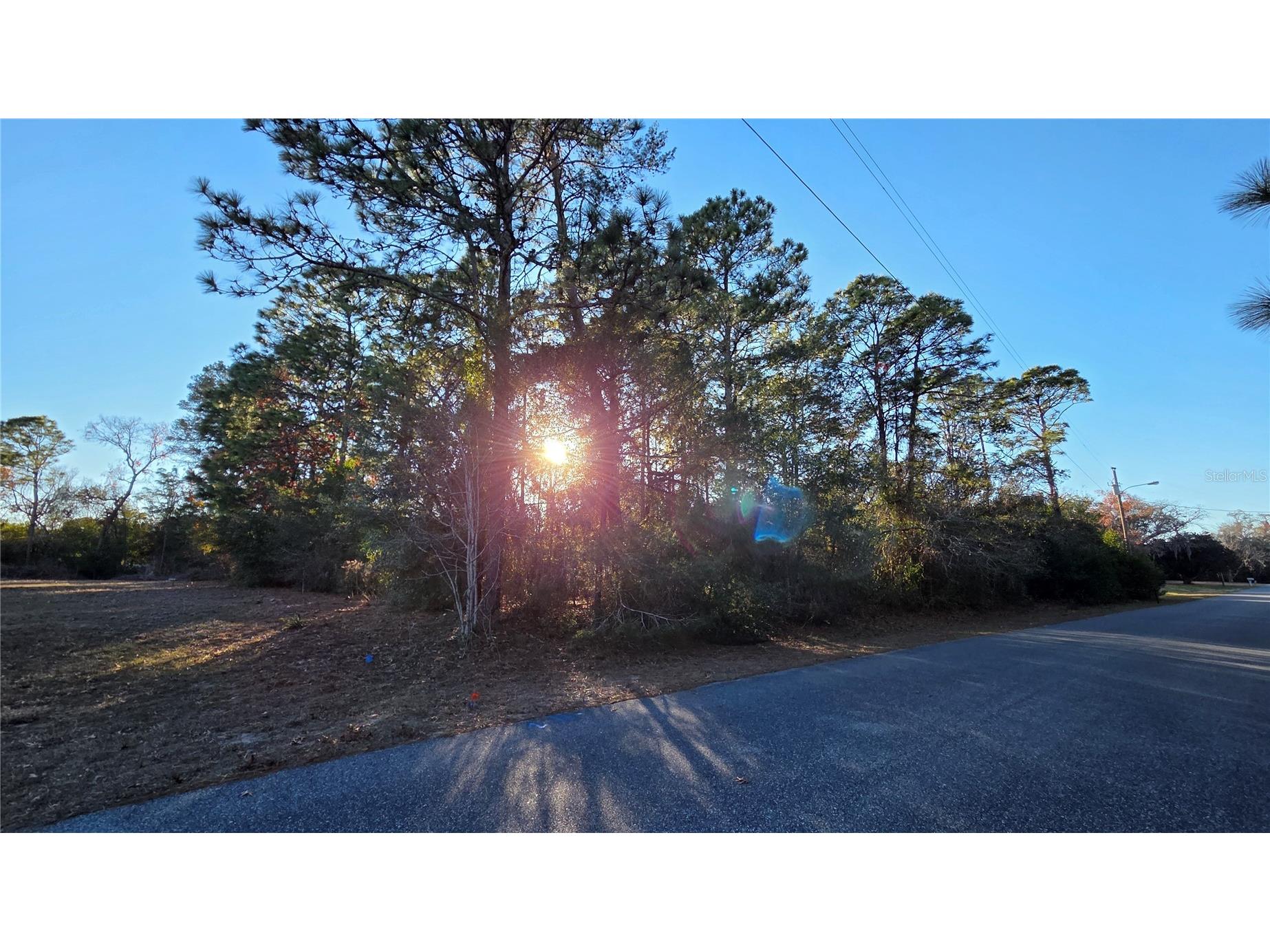 13122 Angler Street Spring Hill FL 34609 W7882819 image3