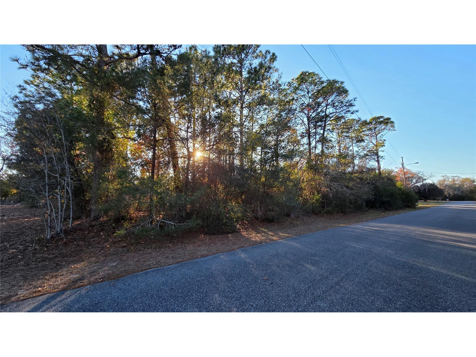 13122 Angler Street Spring Hill FL 34609 W7882819 image4