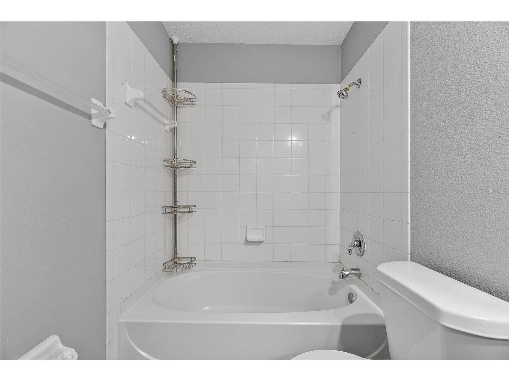 13123 Kings Crossing Drive Gibsonton FL 33534 TB8496600 image43