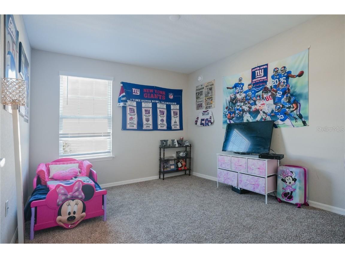 13123 Logan Captiva Lane Gibsonton FL 33534 TB8454283 image10