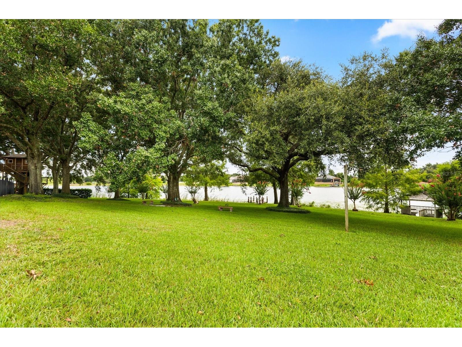 13123 Luntz Point Lane Windermere FL 34786 - LAKE LUNTZ O6382394 image43