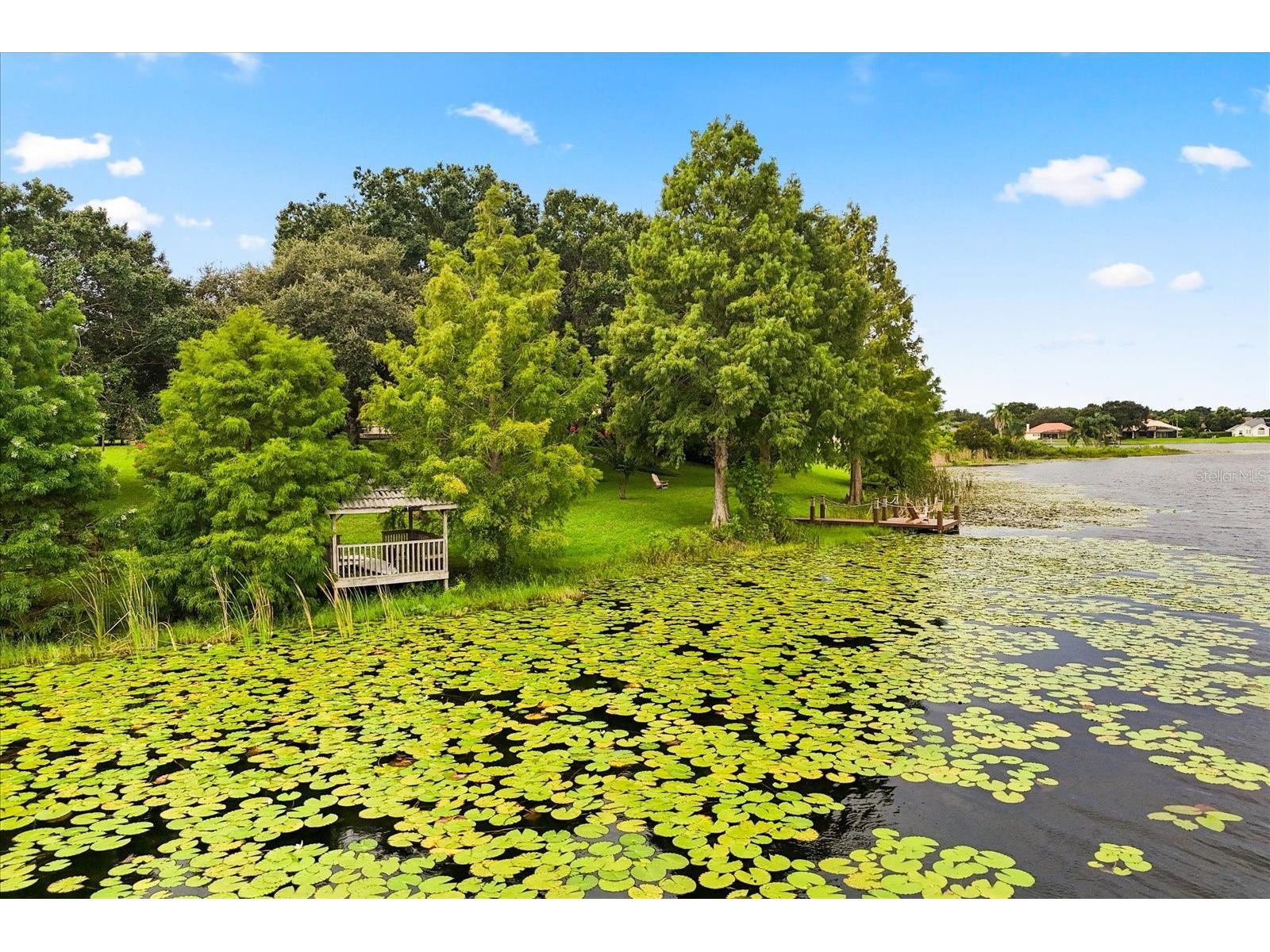 13123 Luntz Point Lane Windermere FL 34786 - LAKE LUNTZ O6382394 image53