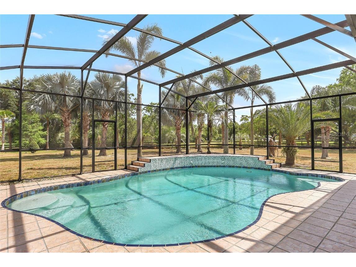 13124 Filly Court Windermere FL 34786 O6303140 image37