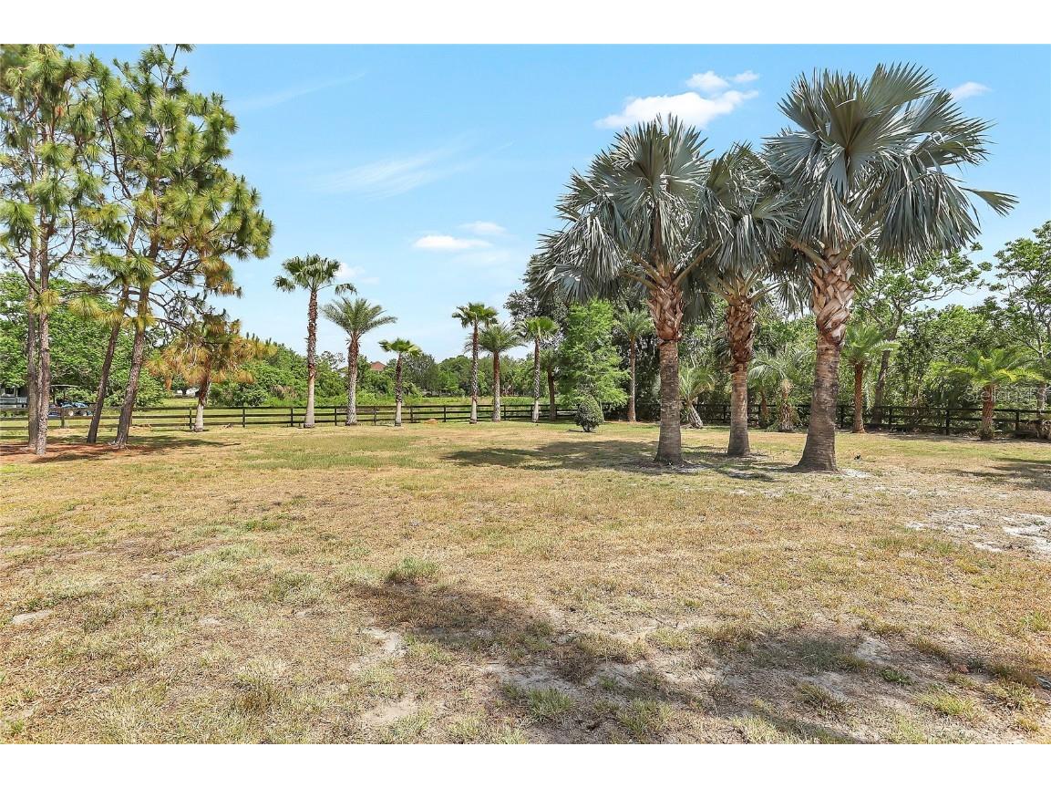 13124 Filly Court Windermere FL 34786 O6303140 image38