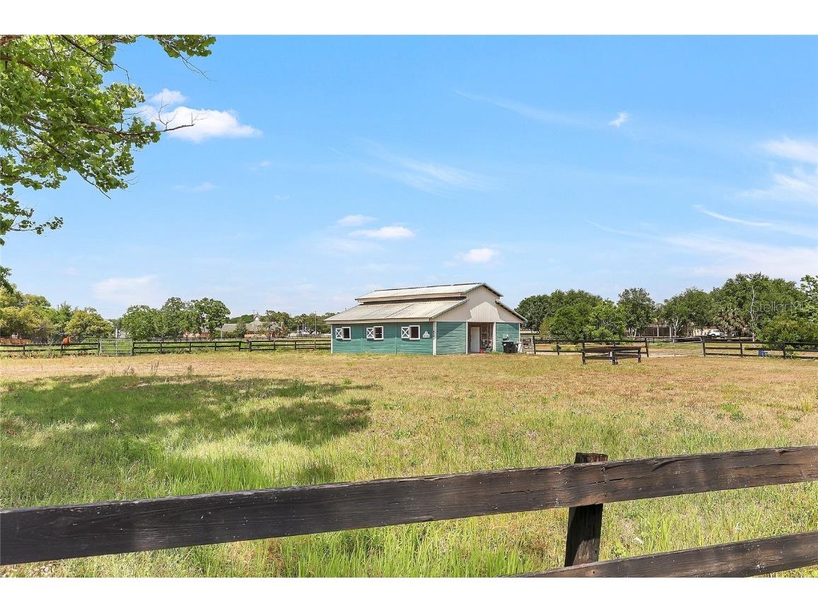 13124 Filly Court Windermere FL 34786 O6303140 image51