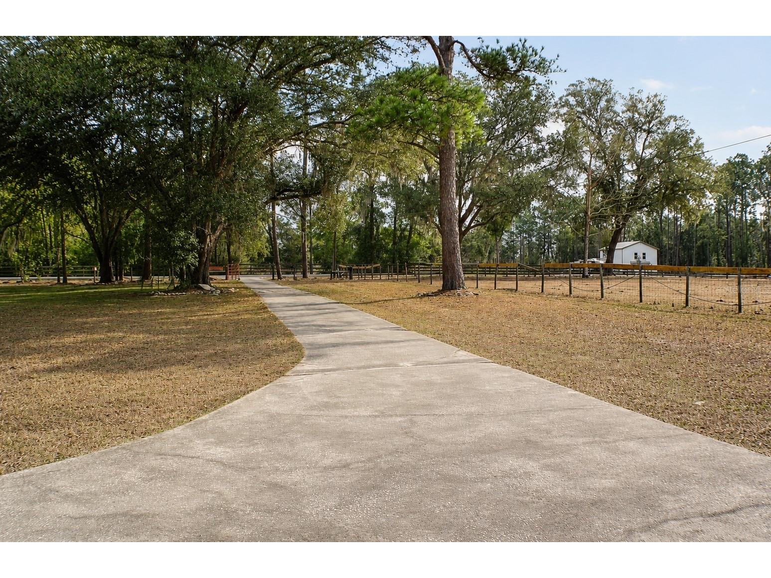 13124 NW 160th Avenue Morriston FL 32668 TB8511652 image14