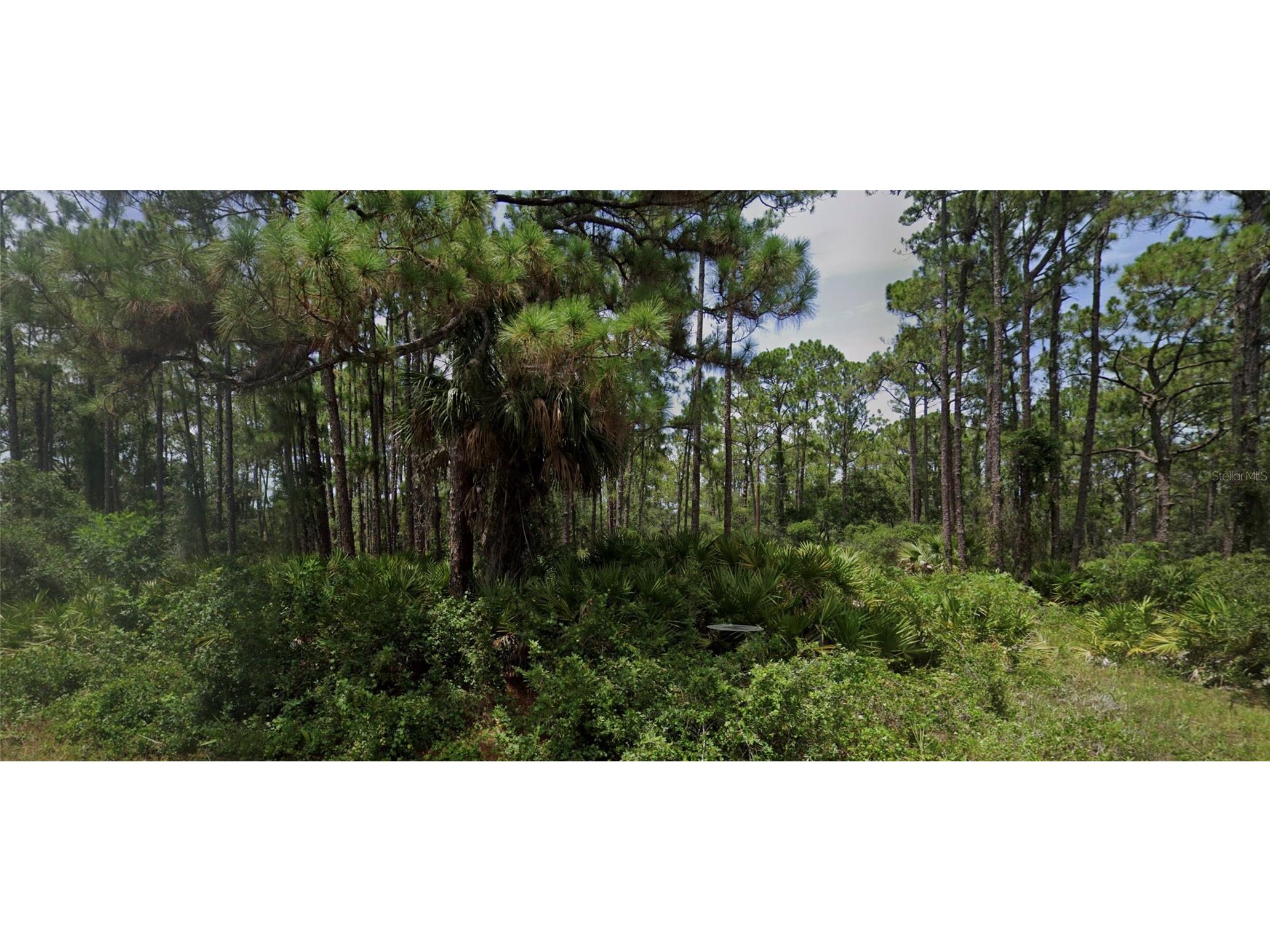 13124 Woolard Avenue Port Charlotte FL 33953 C7525203 image5