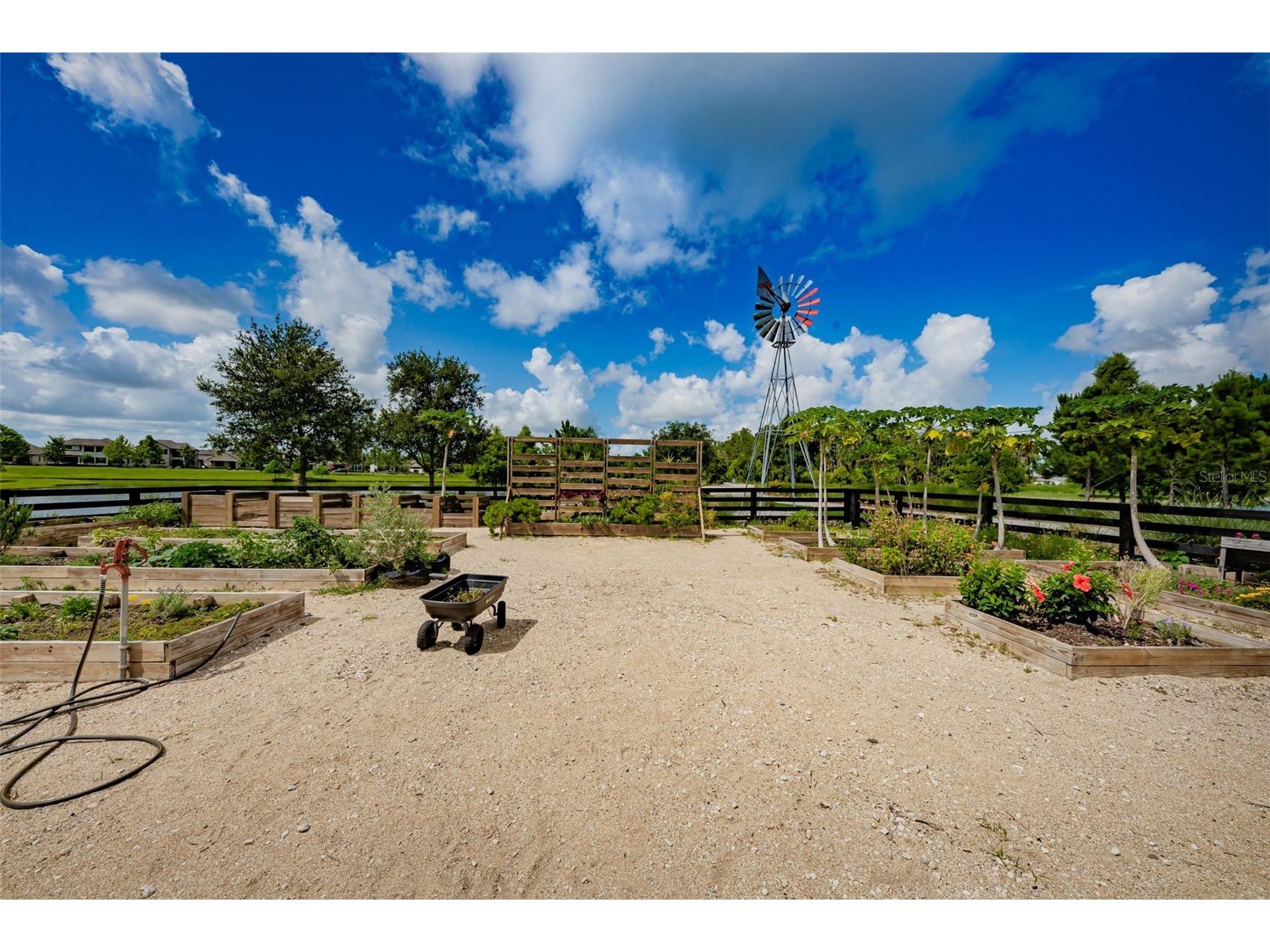 13125 Batten Lane Odessa FL 33556 TB8523496 image100