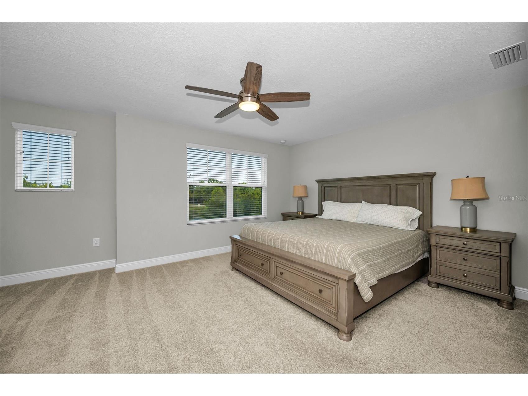 13125 Batten Lane Odessa FL 33556 TB8523496 image20