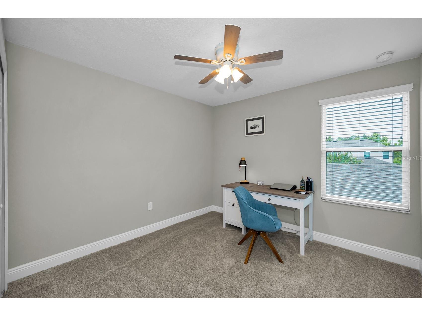 13125 Batten Lane Odessa FL 33556 TB8523496 image26