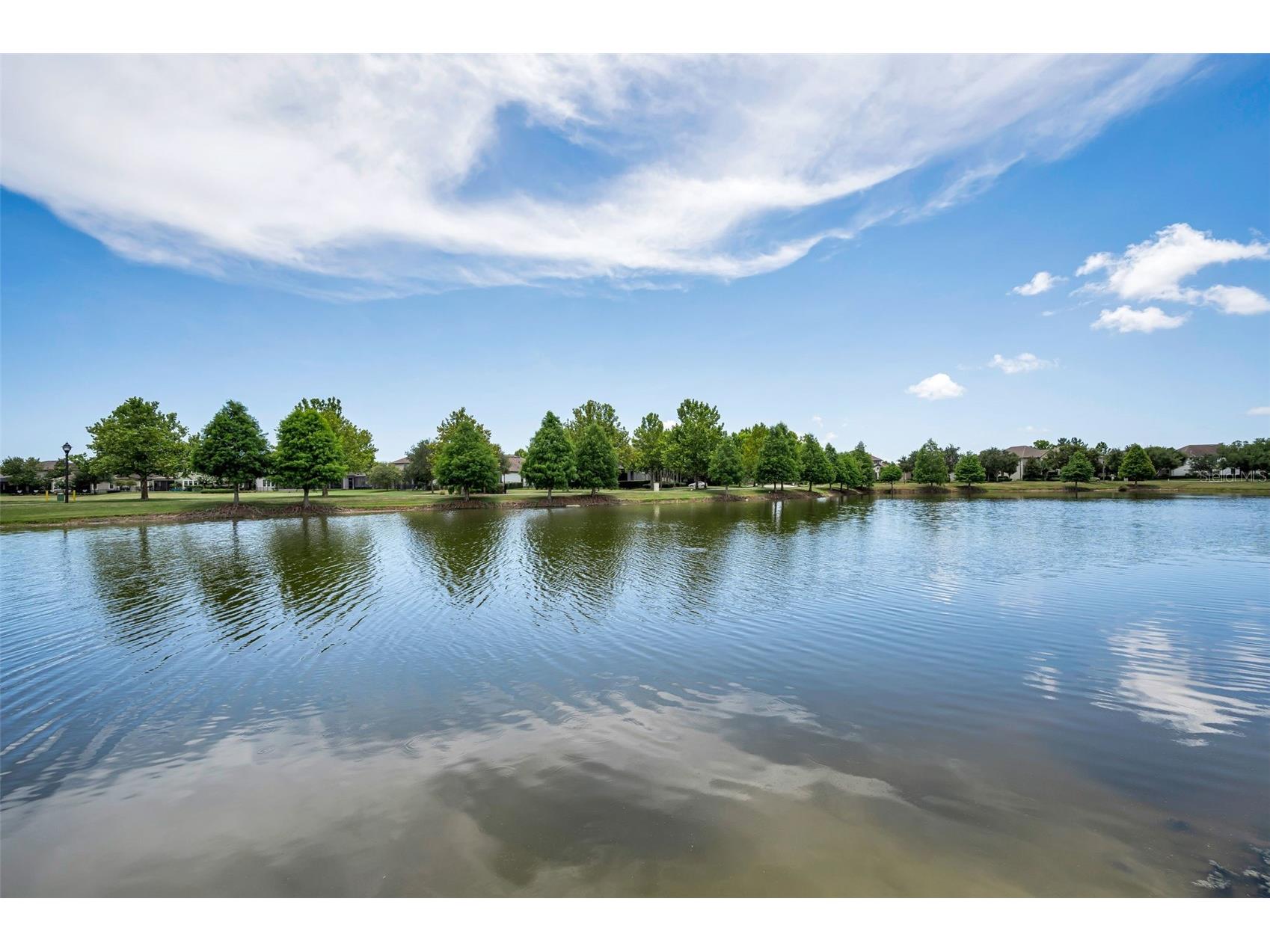13125 Batten Lane Odessa FL 33556 TB8523496 image3