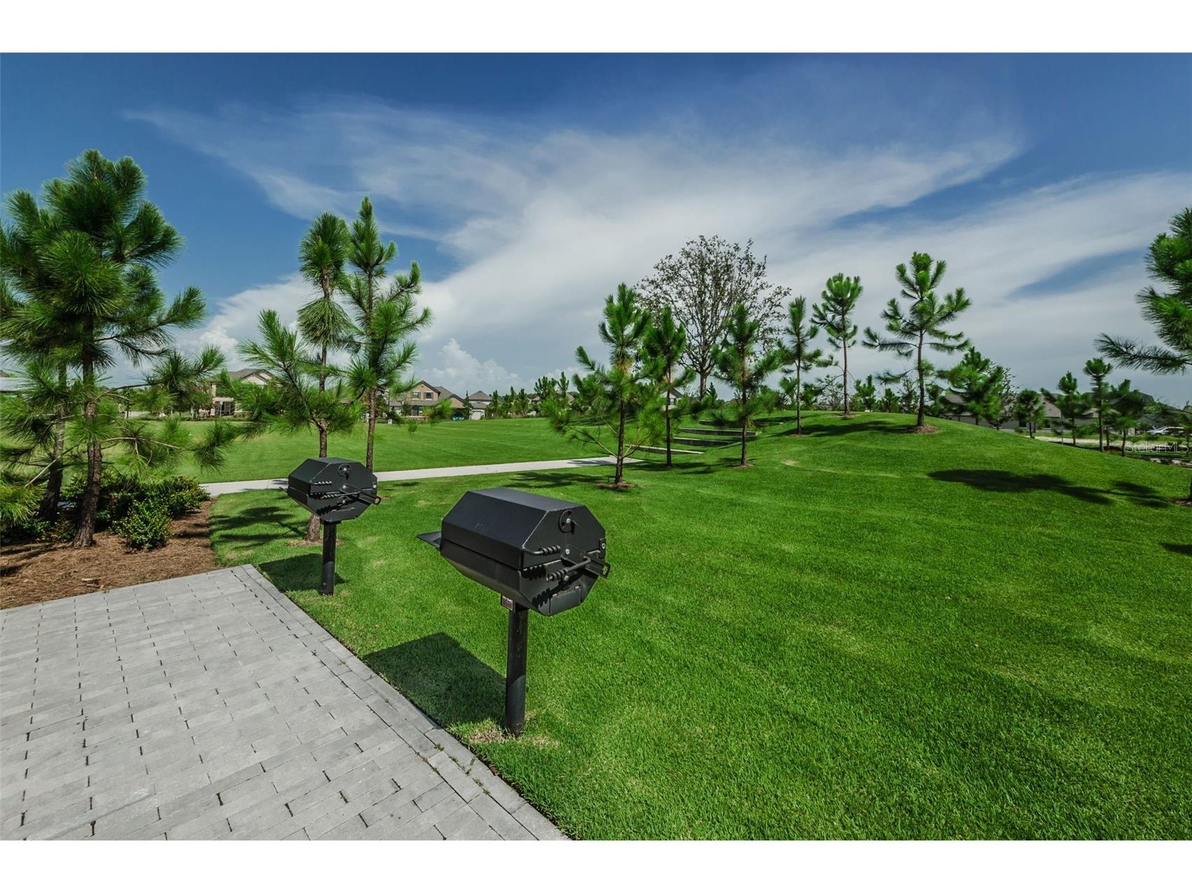 13125 Batten Lane Odessa FL 33556 TB8523496 image48