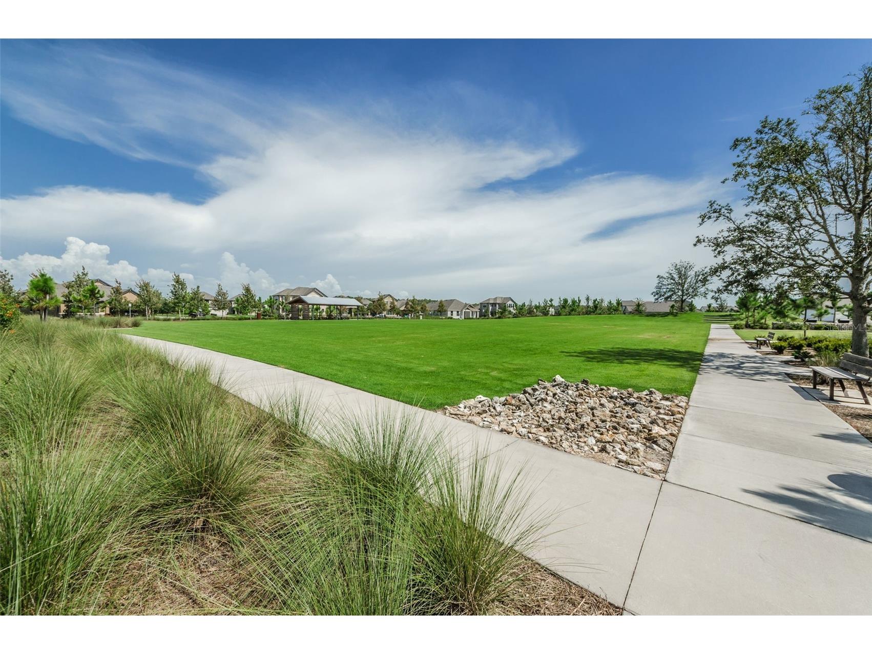 13125 Batten Lane Odessa FL 33556 TB8523496 image51