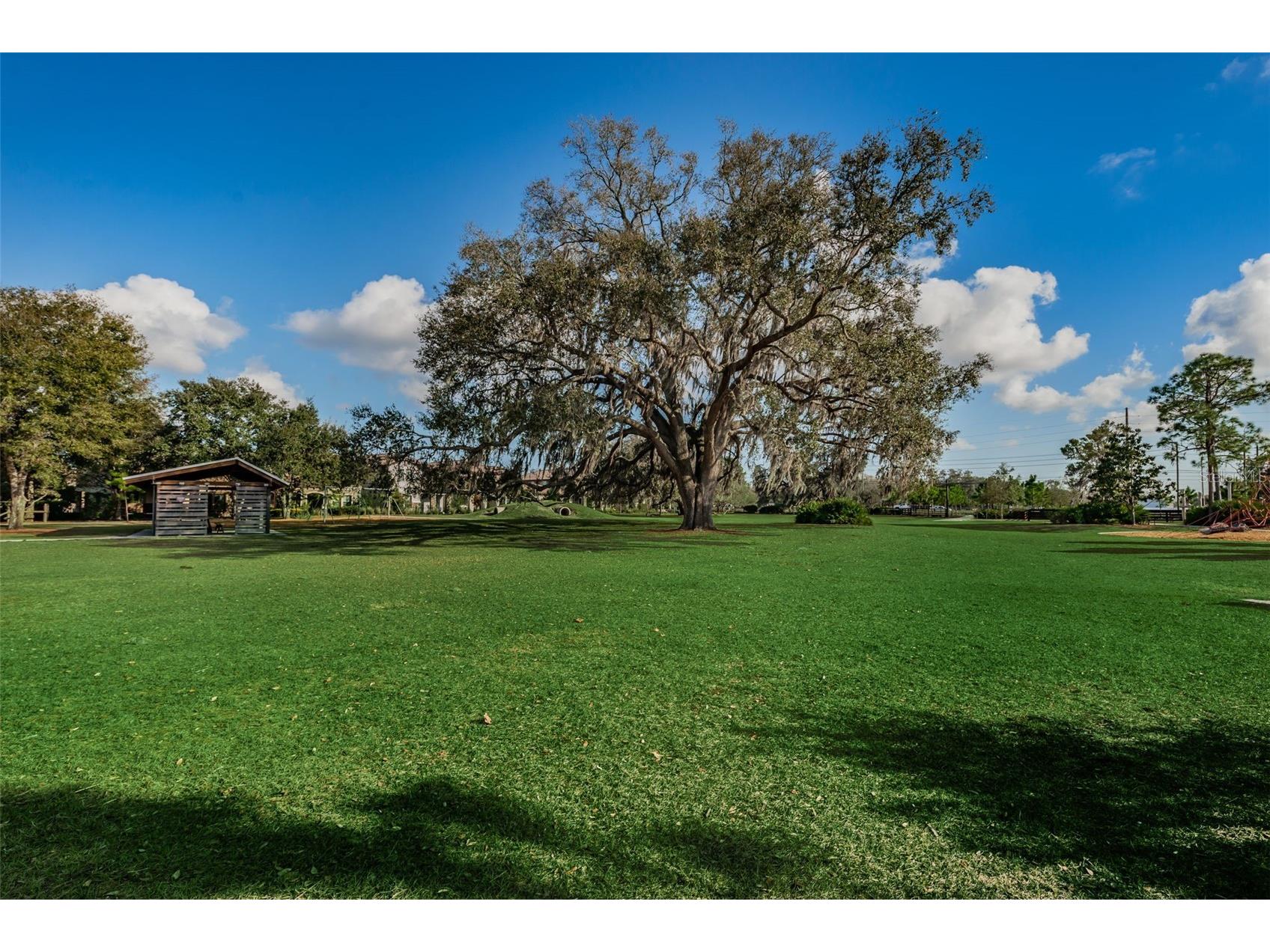 13125 Batten Lane Odessa FL 33556 TB8523496 image63