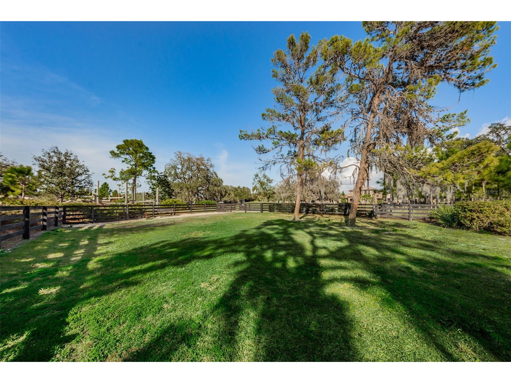 13125 Batten Lane Odessa FL 33556 TB8523496 image71
