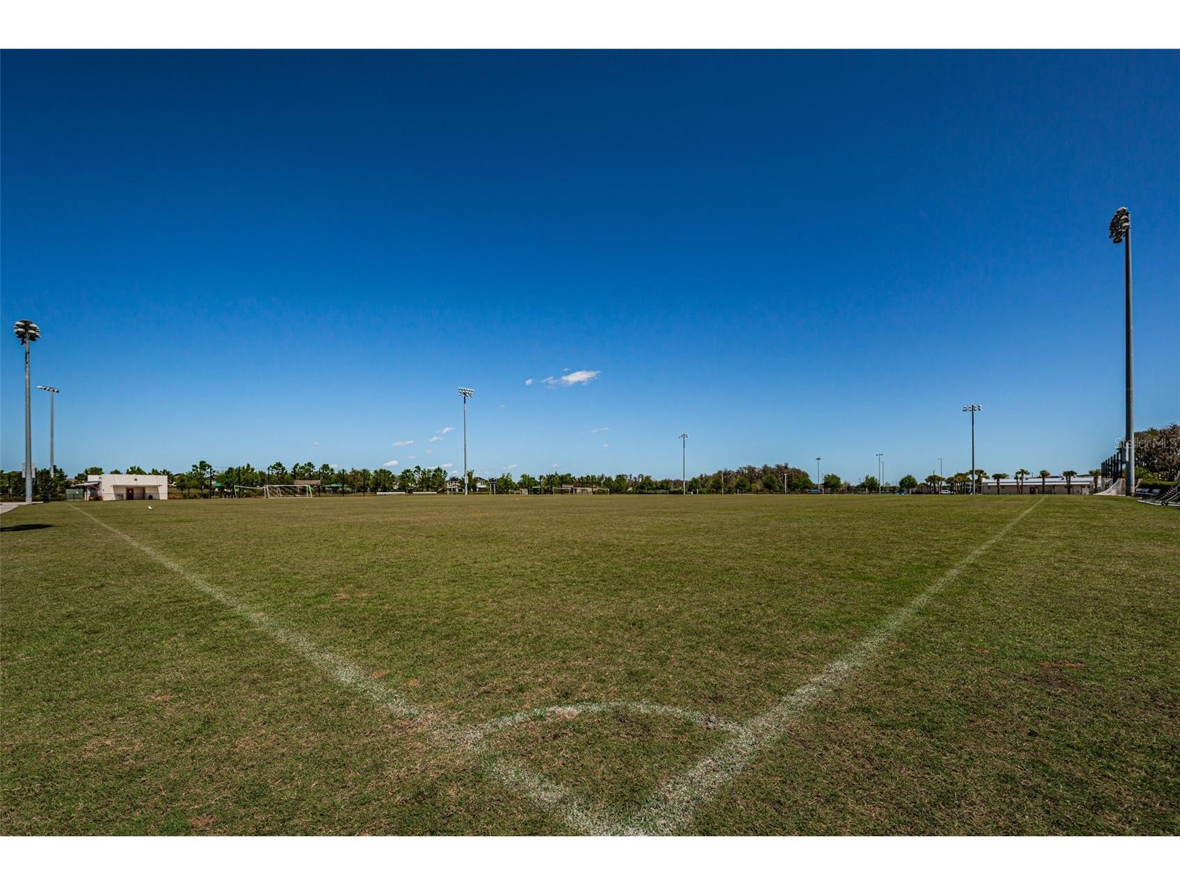 13125 Batten Lane Odessa FL 33556 TB8523496 image80