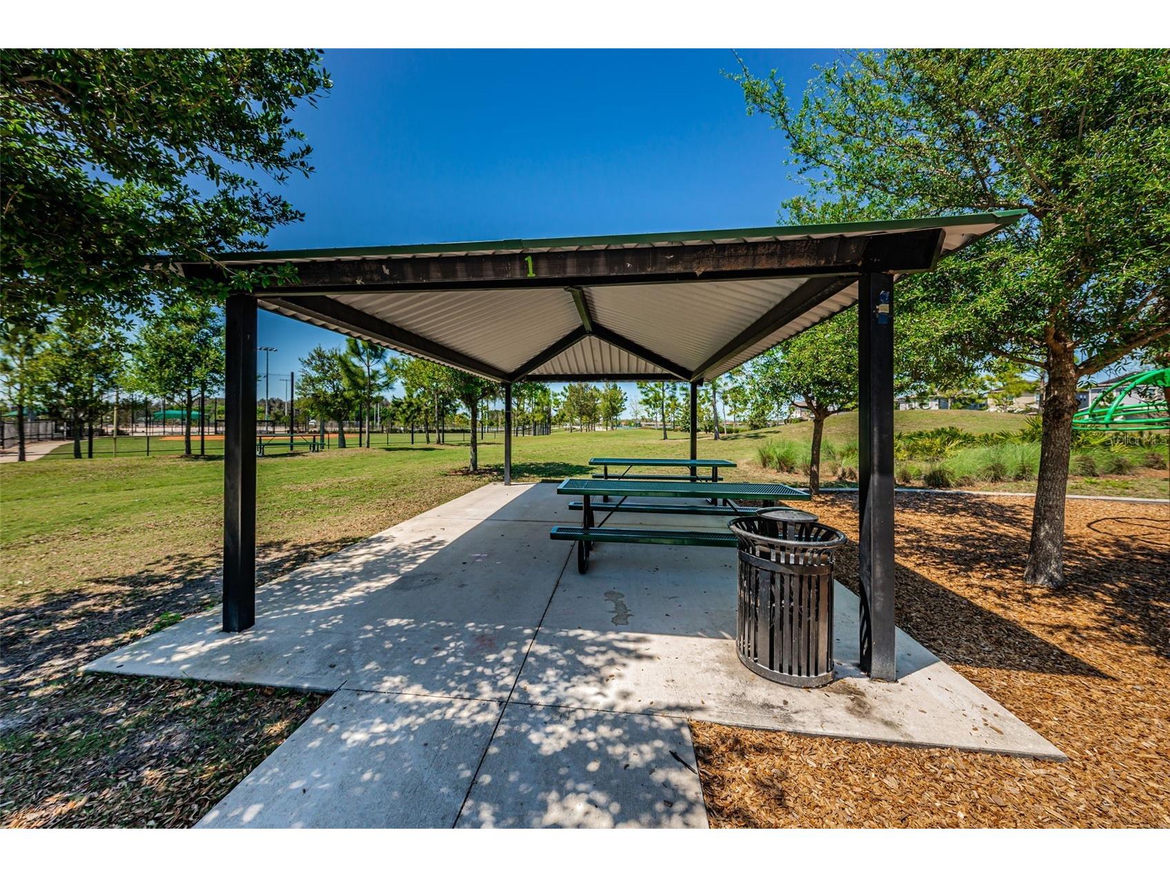 13125 Batten Lane Odessa FL 33556 TB8523496 image85