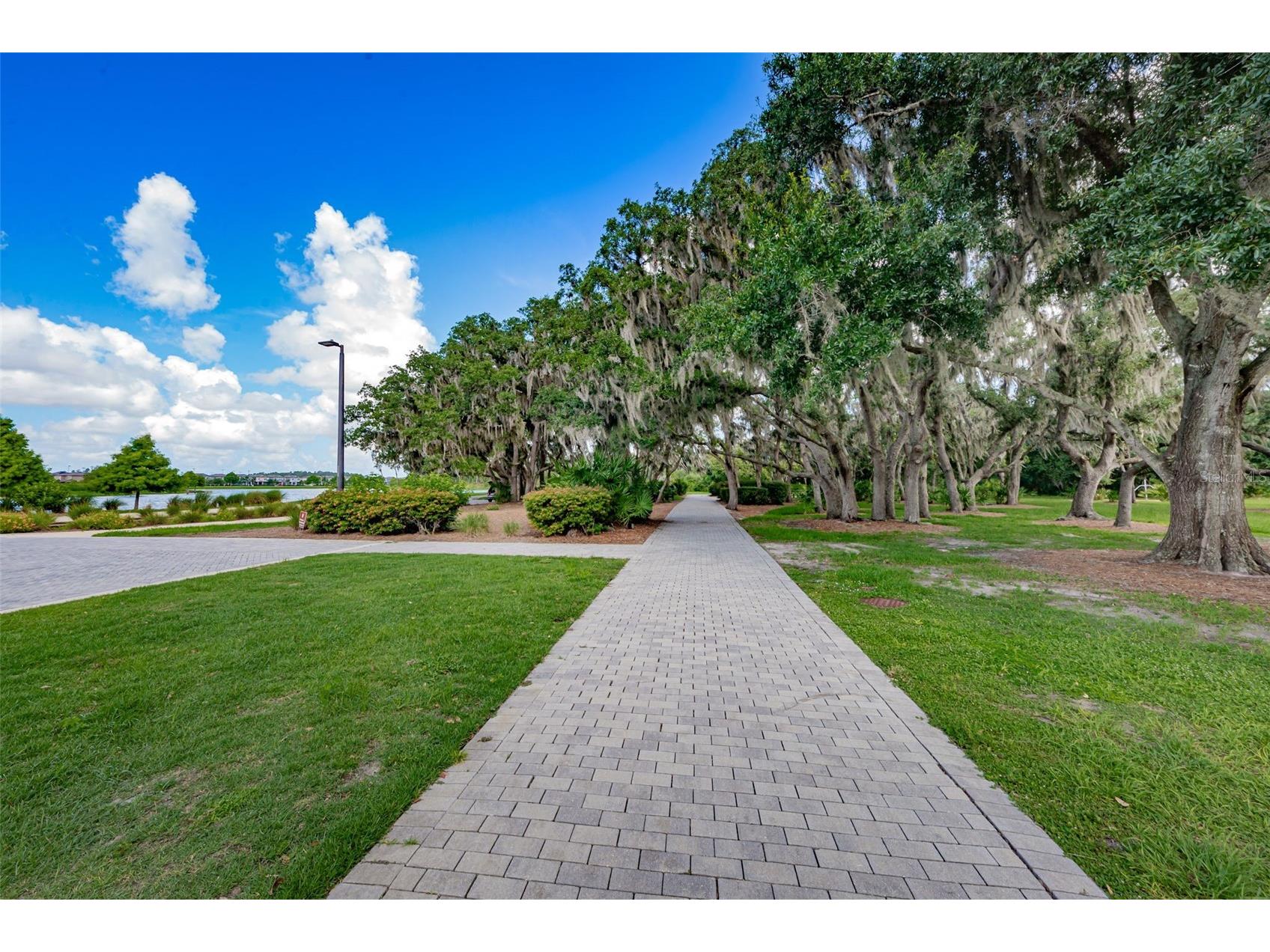 13125 Batten Lane Odessa FL 33556 TB8523496 image96