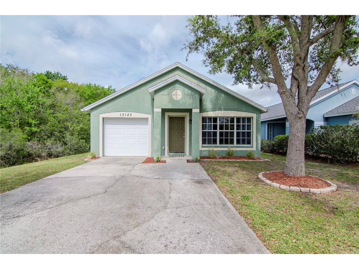 13125 Carrollwood Creek Drive Tampa FL 33624 T3509026 image1