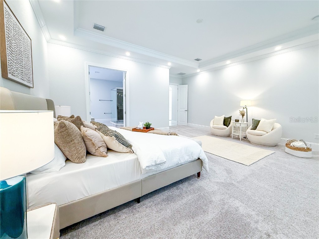 13125 Casabella Drive Windermere FL 34786 O6297797 image23