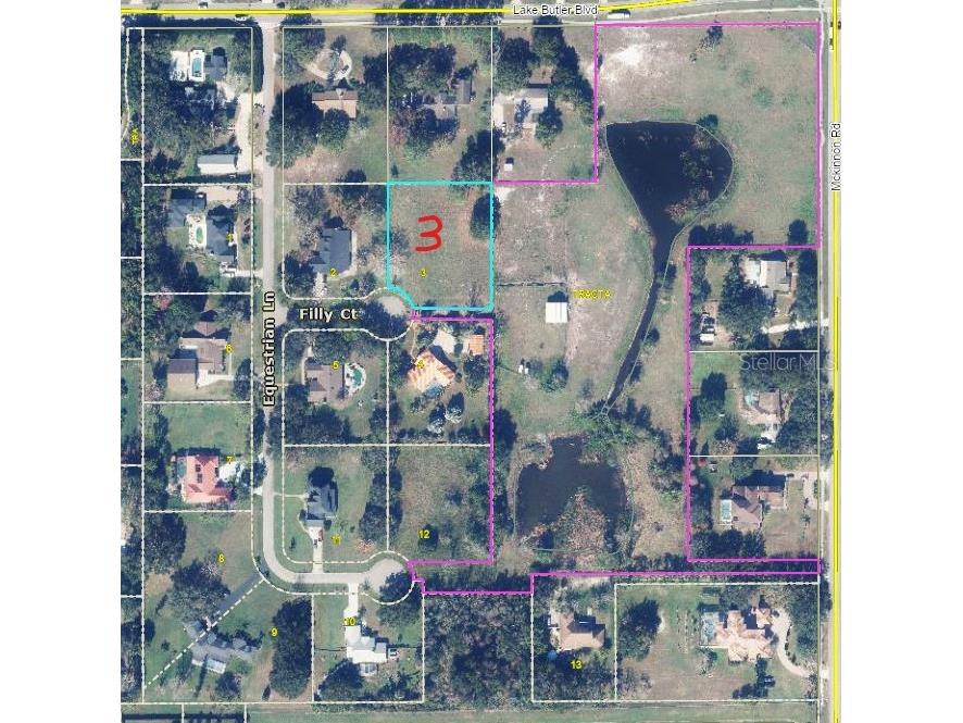 13125 Filly Court Windermere FL 34786 O6395698 image2