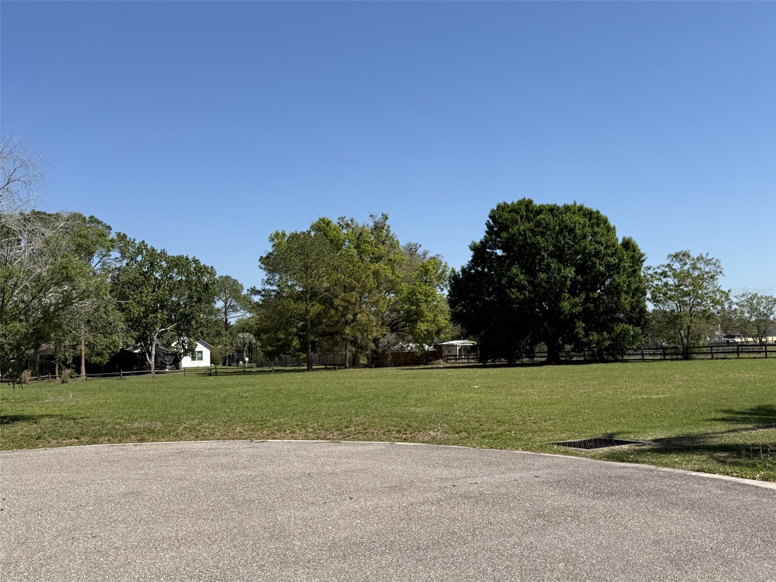 13125 Filly Court Windermere FL 34786 O6395698 image4