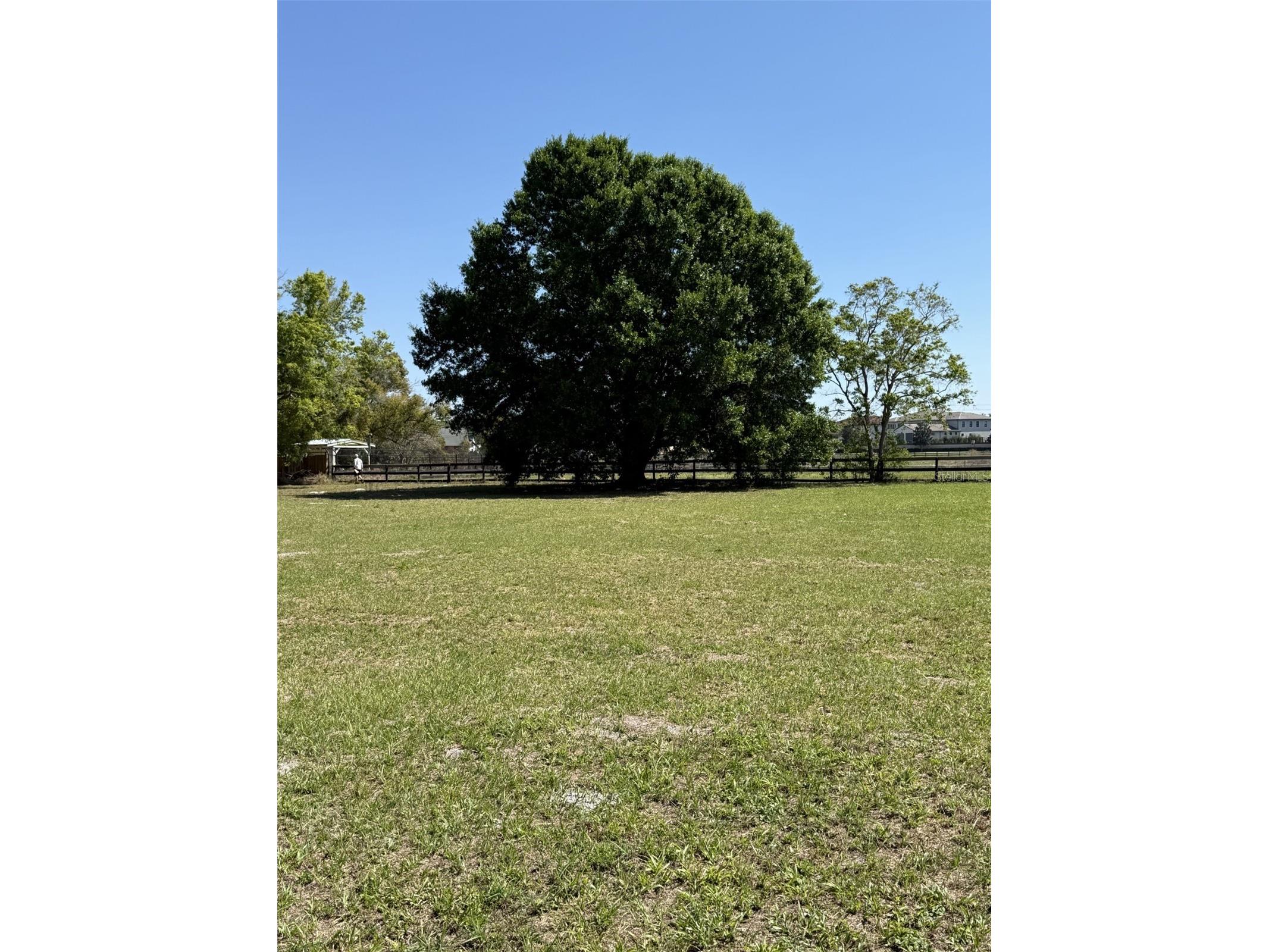 13125 Filly Court Windermere FL 34786 O6395698 image5