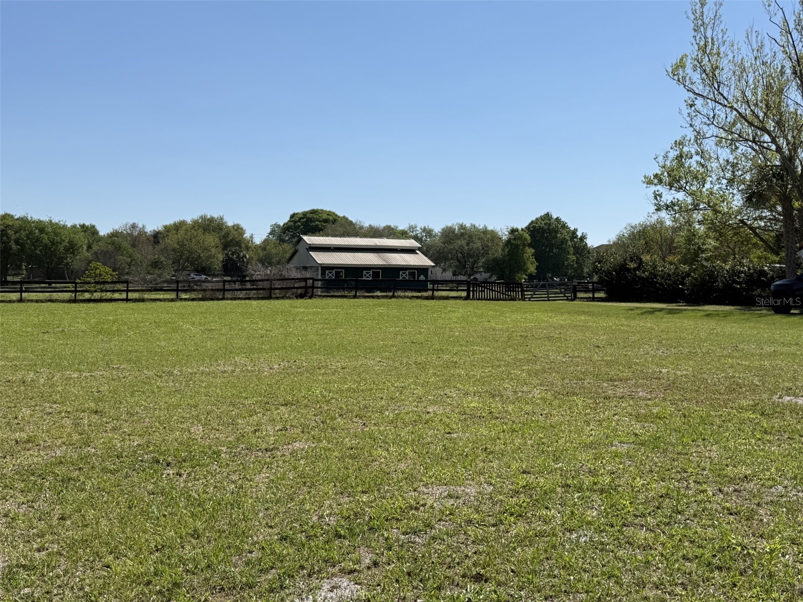 13125 Filly Court Windermere FL 34786 O6395698 image6