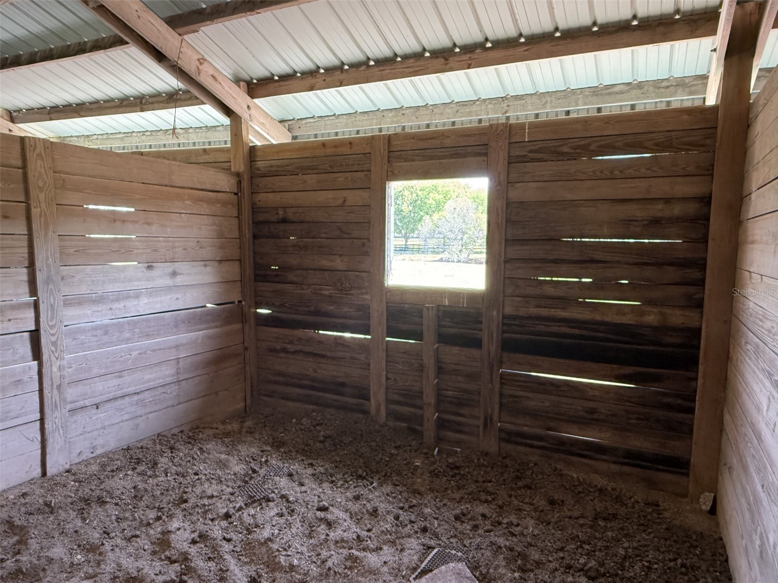 13125 Filly Court Windermere FL 34786 O6395698 image9