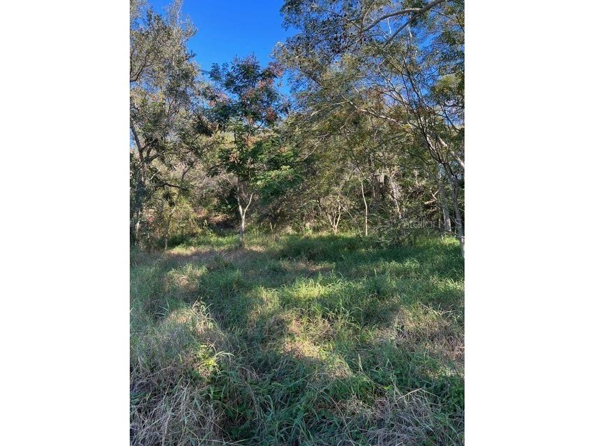 13125 Hooks Street Clermont FL 34711 G5075905 image1