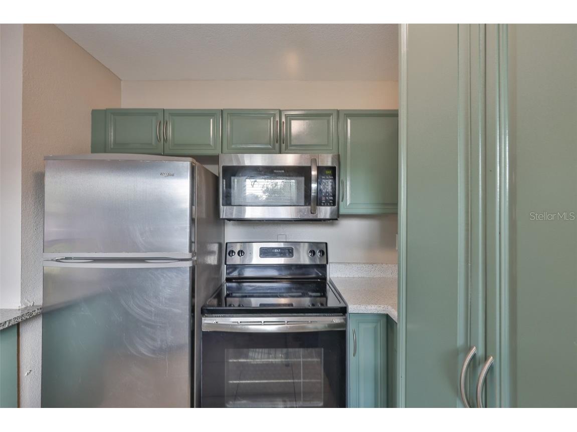 13125 Wilcox Road #16202 Largo FL 33774 TB8386225 image8