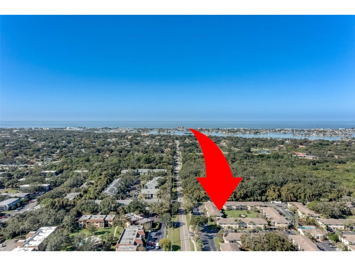 13125 Wilcox Road #5104 Largo FL 33774 U8215614 image1