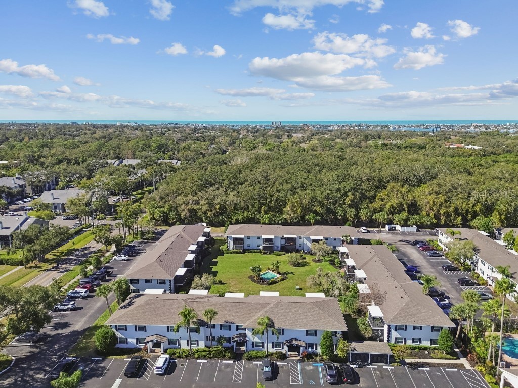 13125 Wilcox Road #6205 Largo FL 33774 TB8514371 image46