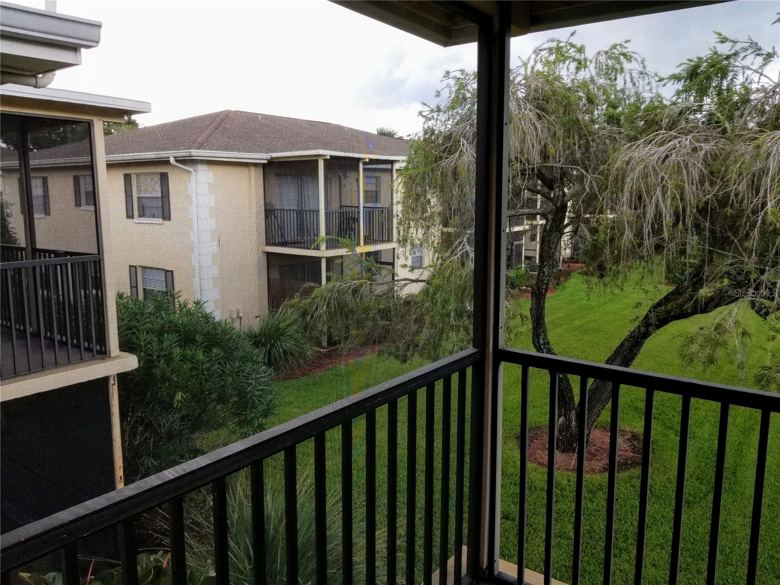 13125 Wilcox Road #7203 Largo FL 33774 TB8512395 image15