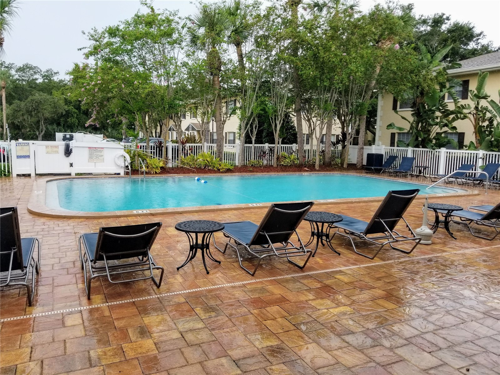 13125 Wilcox Road #7203 Largo FL 33774 TB8512395 image25