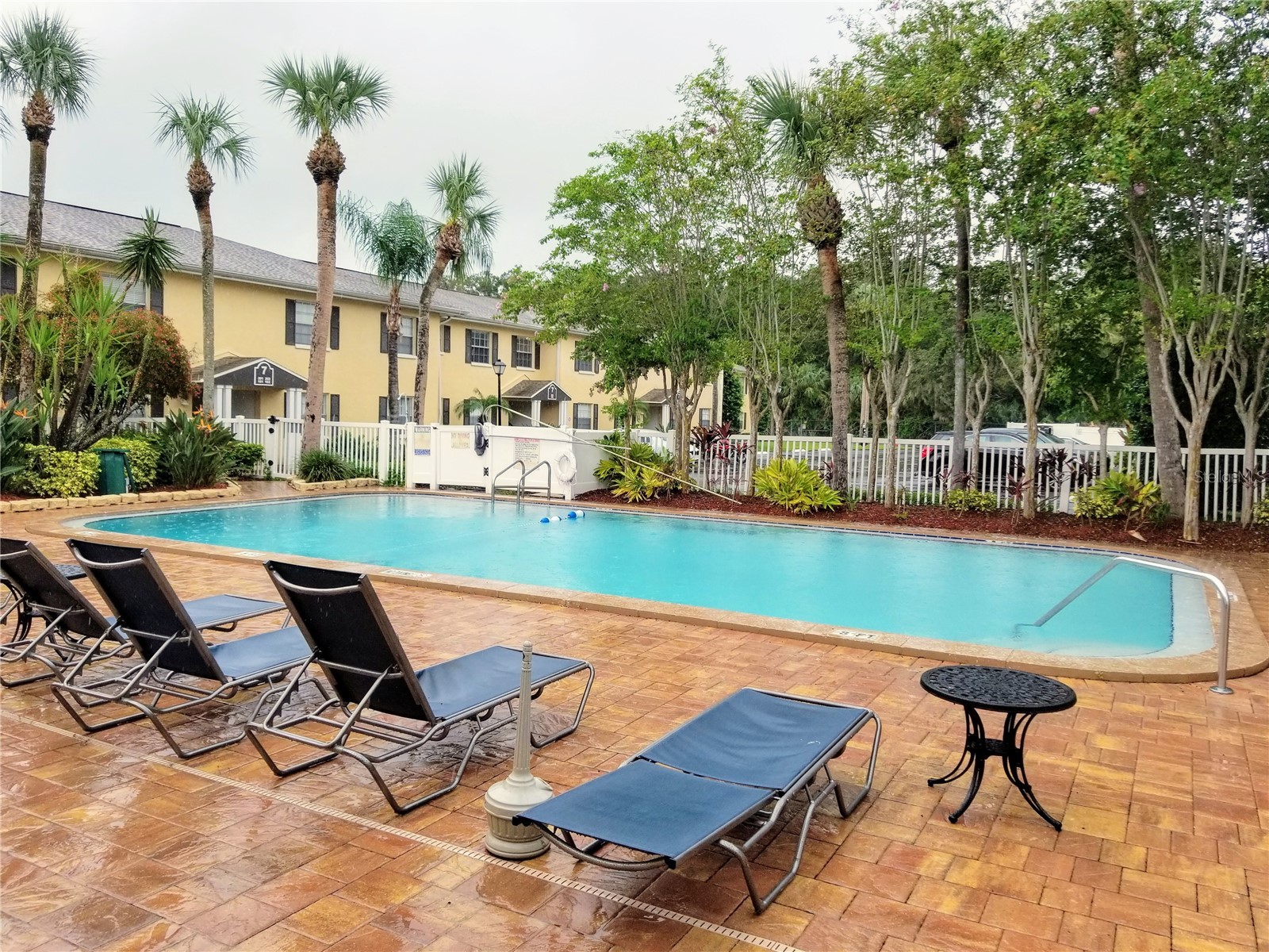 13125 Wilcox Road #7203 Largo FL 33774 TB8512395 image26