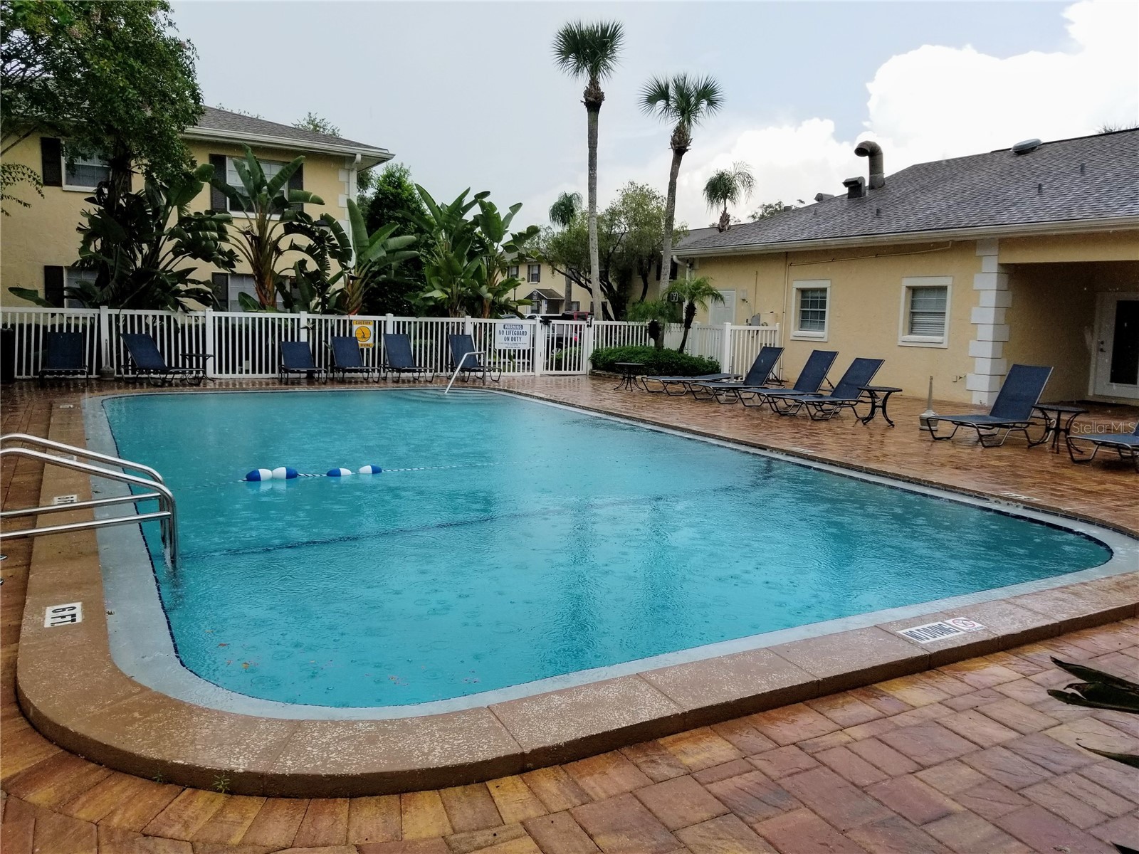 13125 Wilcox Road #7203 Largo FL 33774 TB8512395 image27