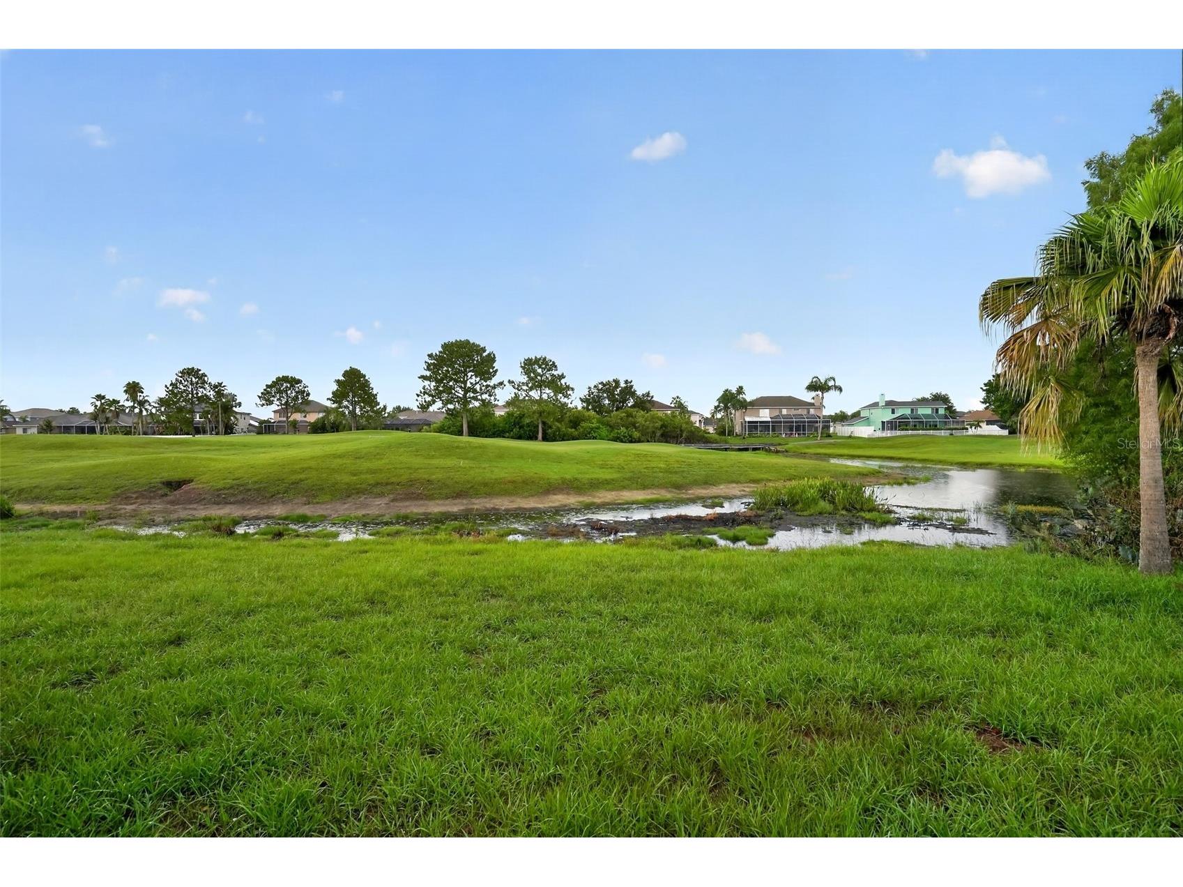 13126 Prestwick Drive Riverview FL 33579 A4699523 image4