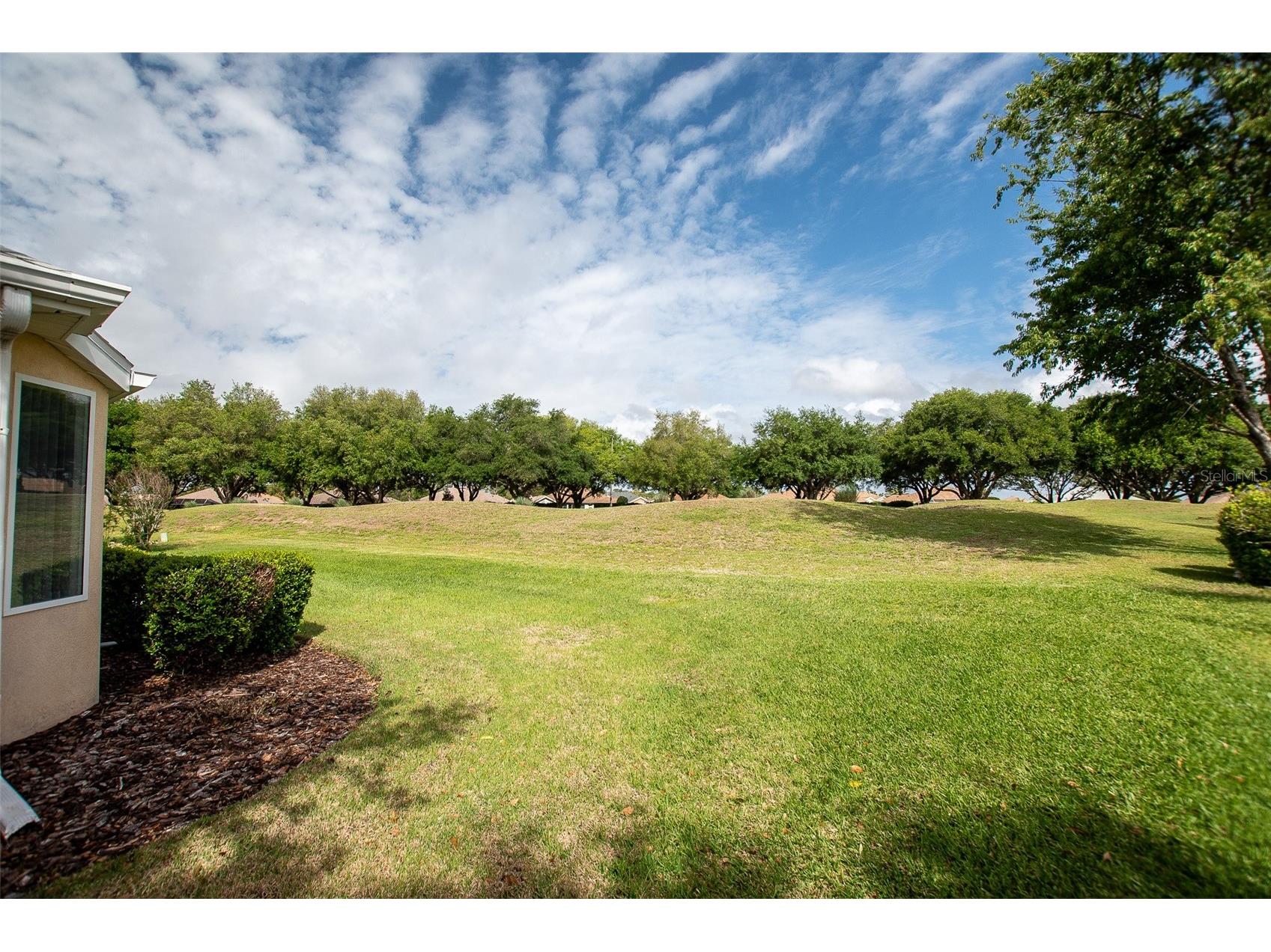 13126 SE 93rd Terrace Road Summerfield FL 34491 OM720596 image23