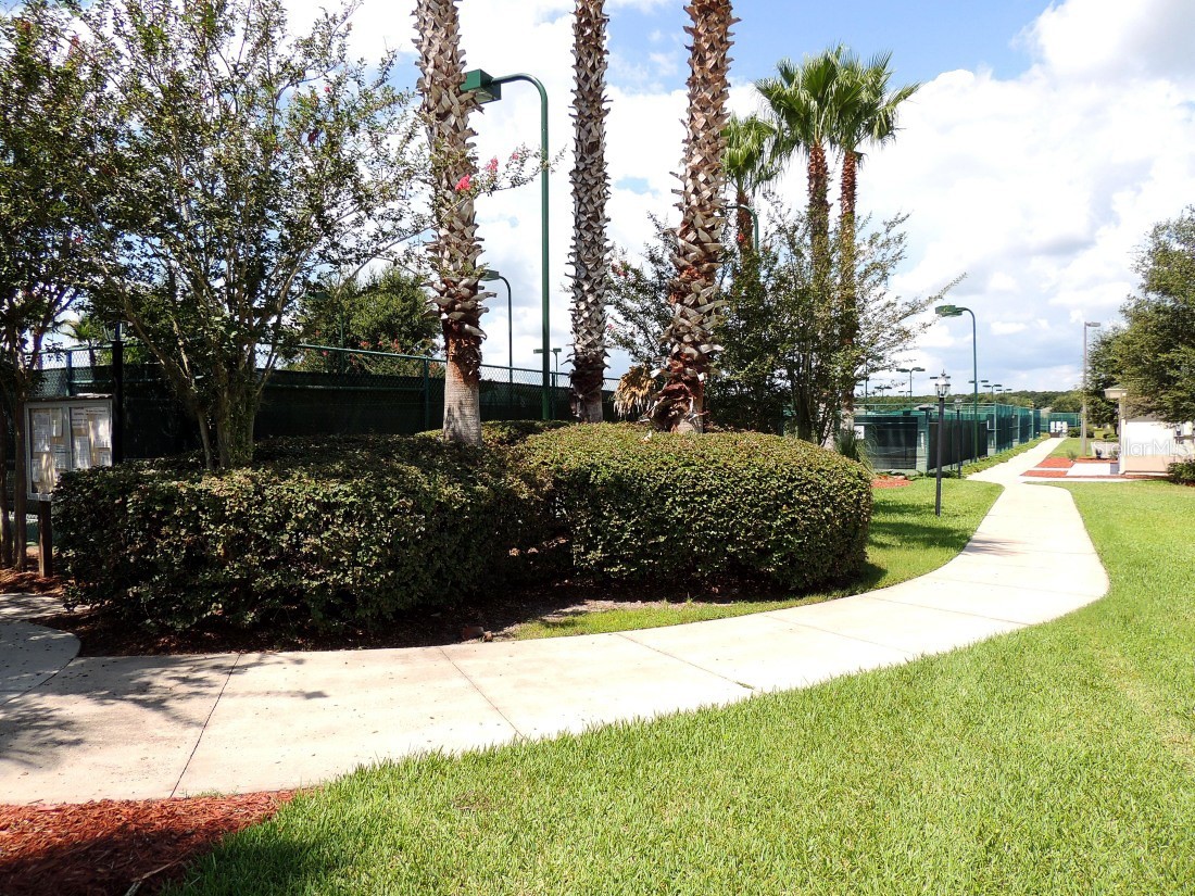 13126 SE 93rd Terrace Road Summerfield FL 34491 OM720596 image59