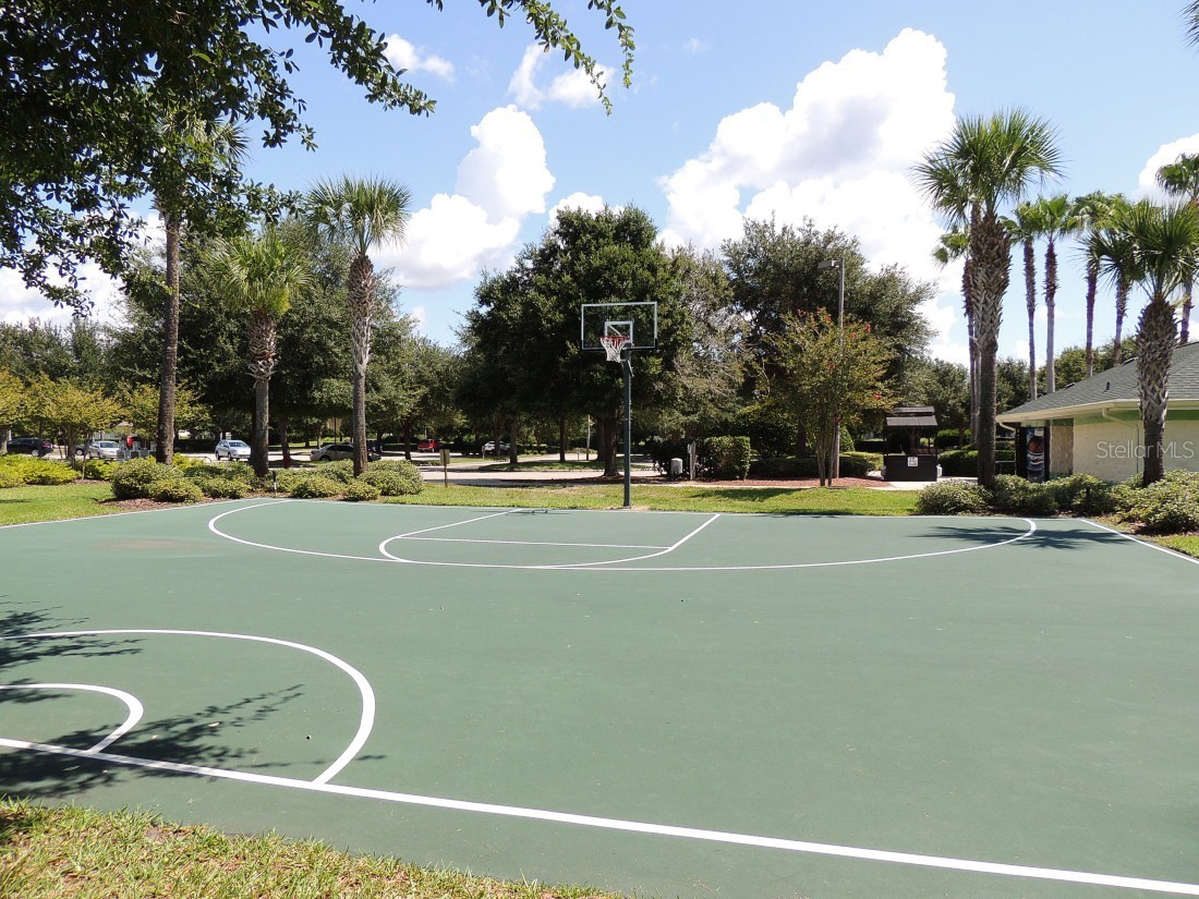 13126 SE 93rd Terrace Road Summerfield FL 34491 OM720596 image63