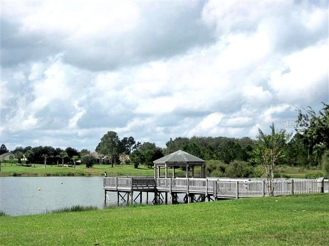 13126 SE 93rd Terrace Road Summerfield FL 34491 OM720596 image69