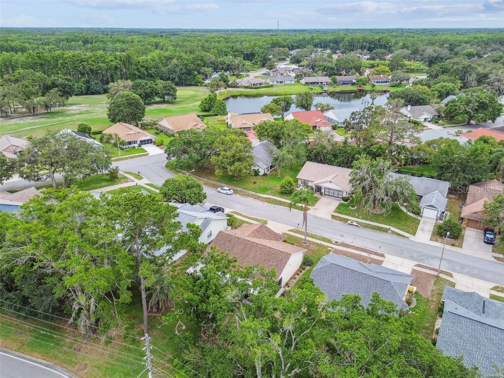 13127 Topflite Court Hudson FL 34669 TB8393326 image50