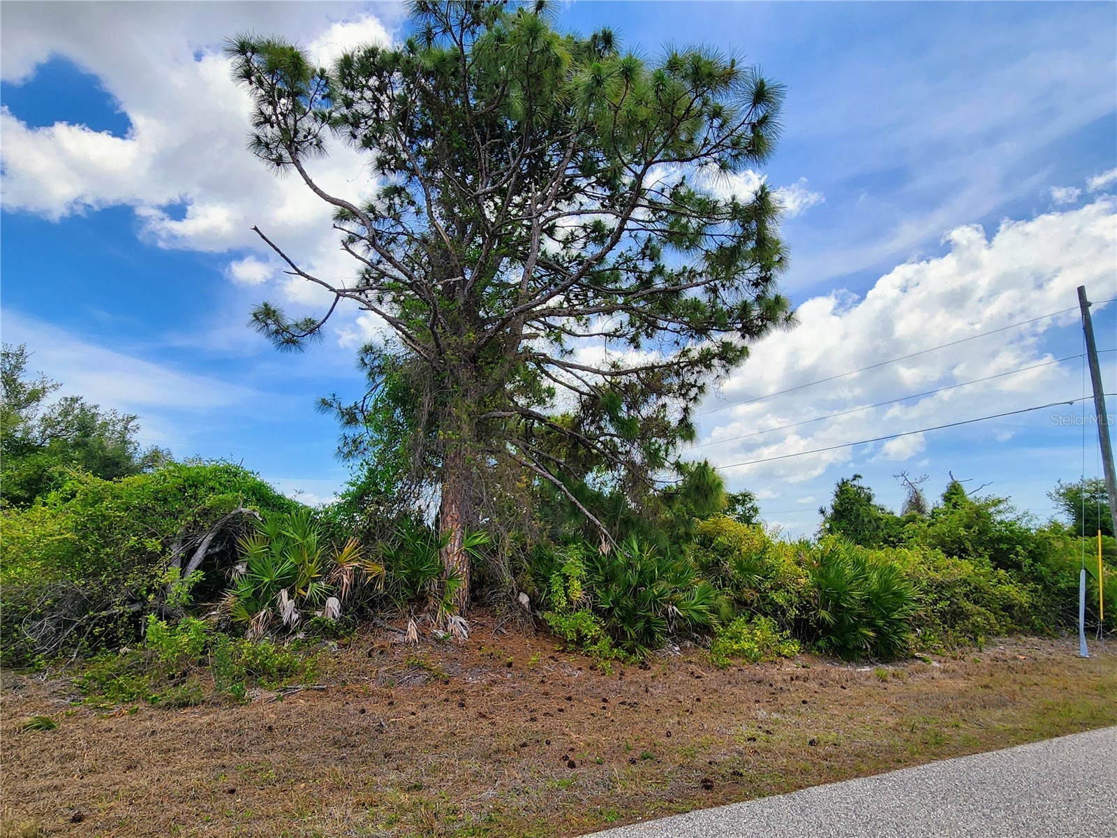 13128 Foresman Boulevard Port Charlotte FL 33981 N6144284 image4
